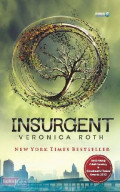 Insurgent